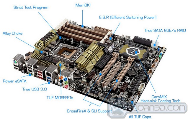 Sabertooth sale x 58